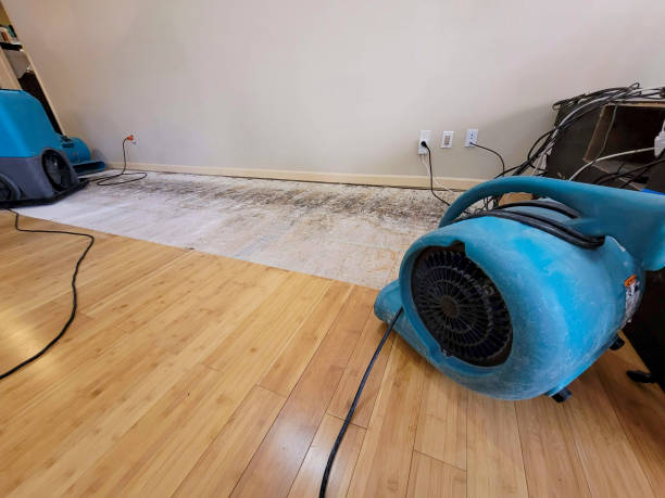 Professional Water Damage Repair technician working in Phoenixville, PA